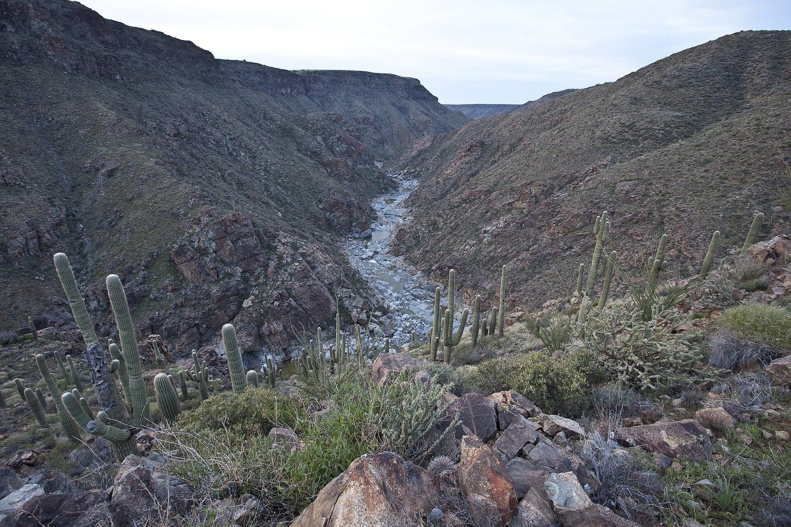 Agua Fria River canyon, Agua Fria National Monument