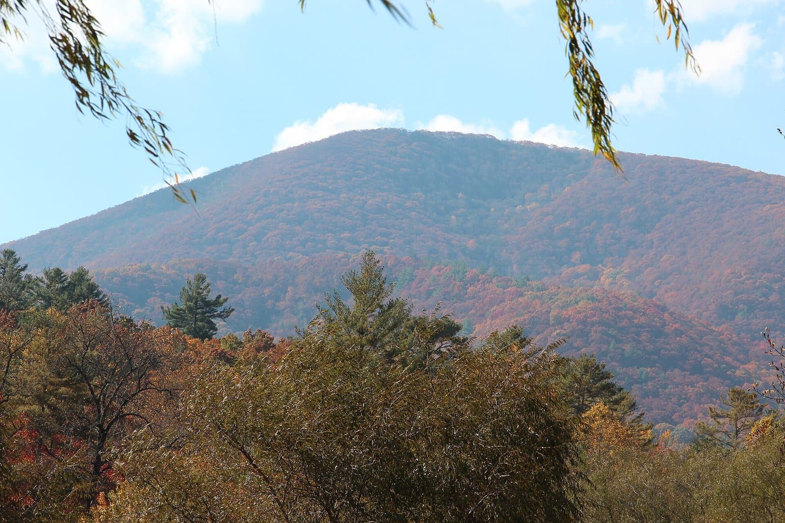 Blood Mountain from Vogel State Park, Georgia