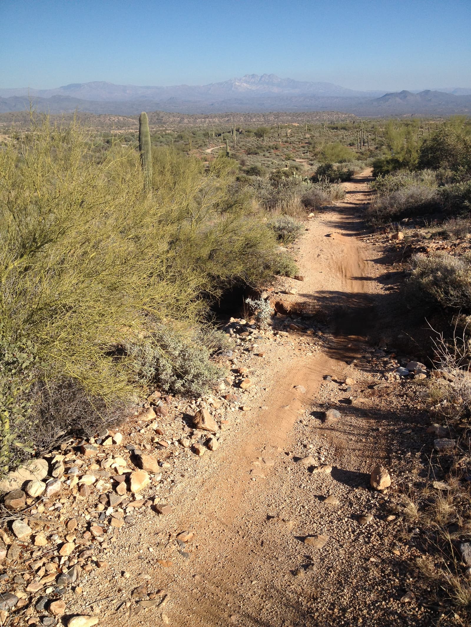 Pemberton Trail, McDowell Mountain Regional Park. The Javelina loop terrain.