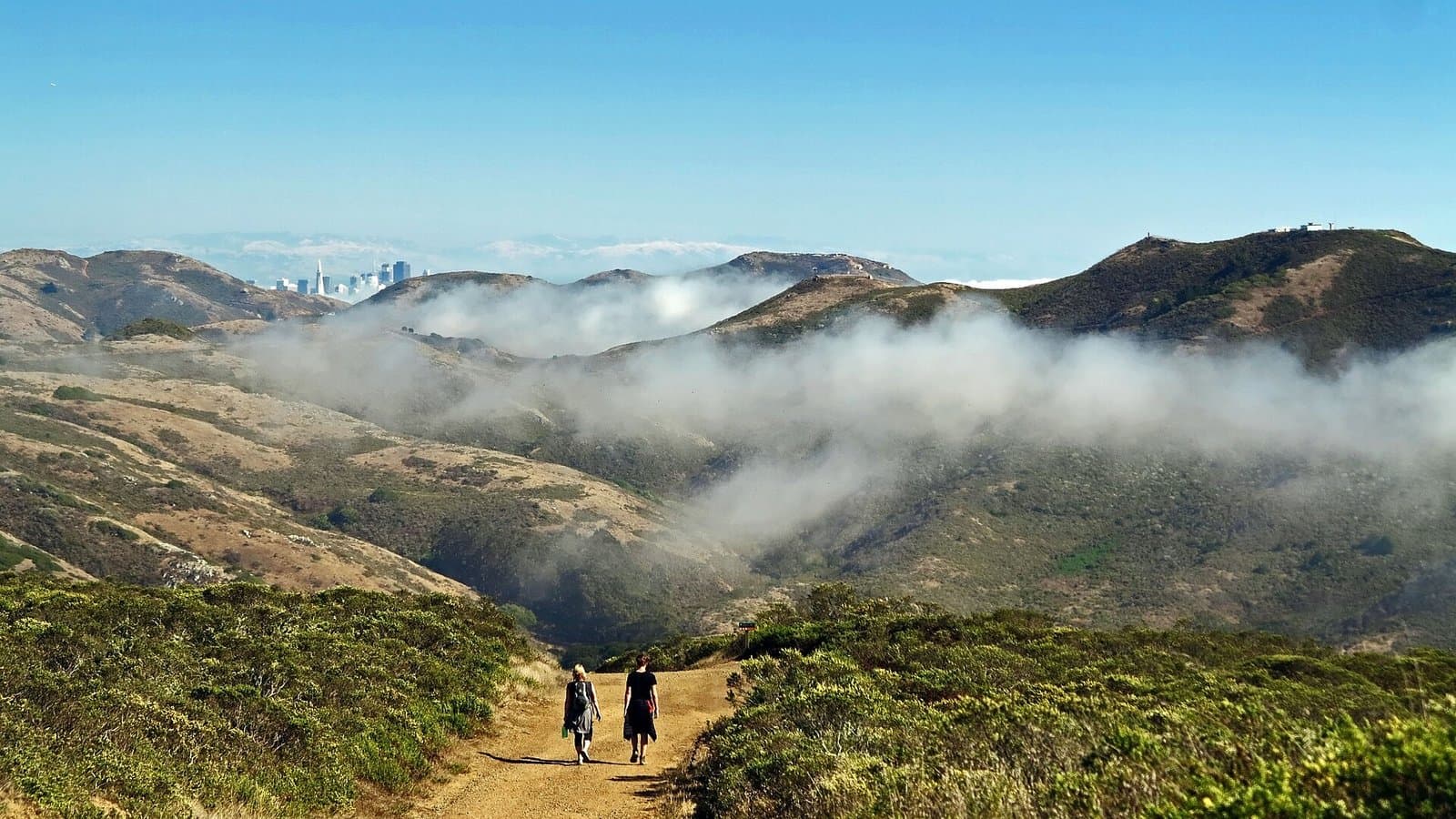 Fog on the Coastal Trail, Marin Headlands
