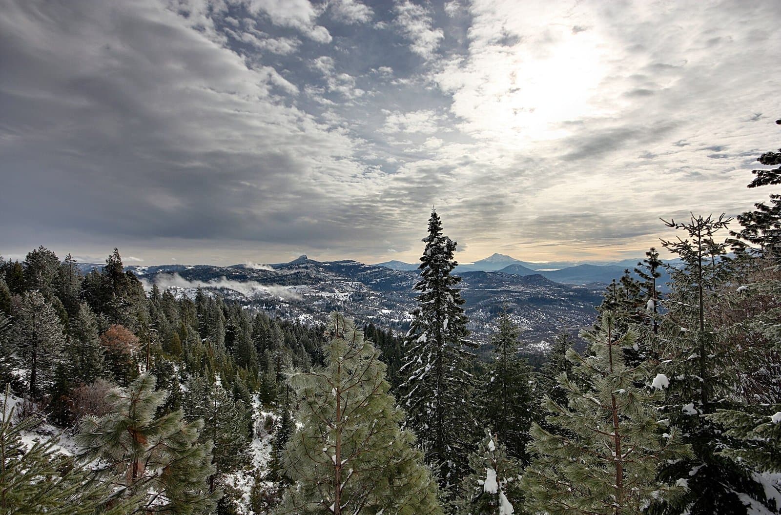Mount Shasta from near the summit of Mount Ashland