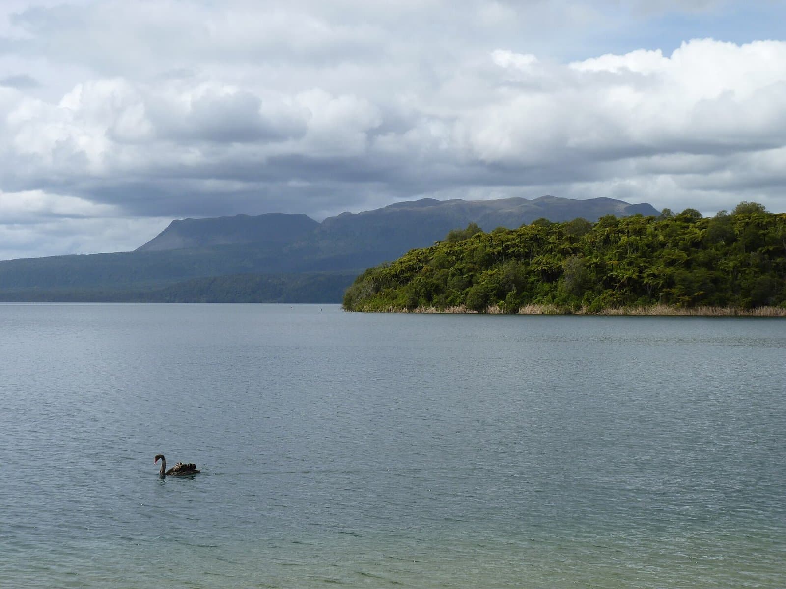 Lake Tarawera, Rotorua volcanic country